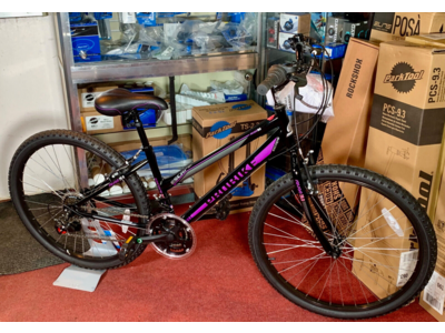 PROBIKE Escape ATB Ladies 14" 18spd Black/Purple Bike